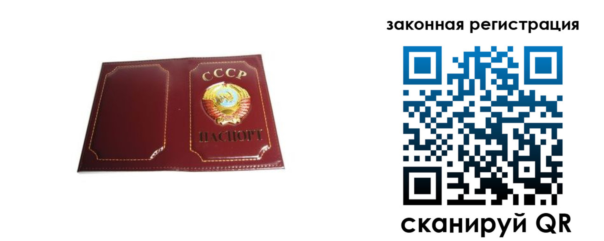 прописка поиск в Лыткарино